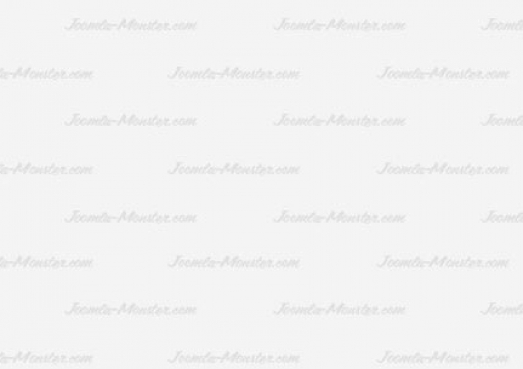 Proin lacinia